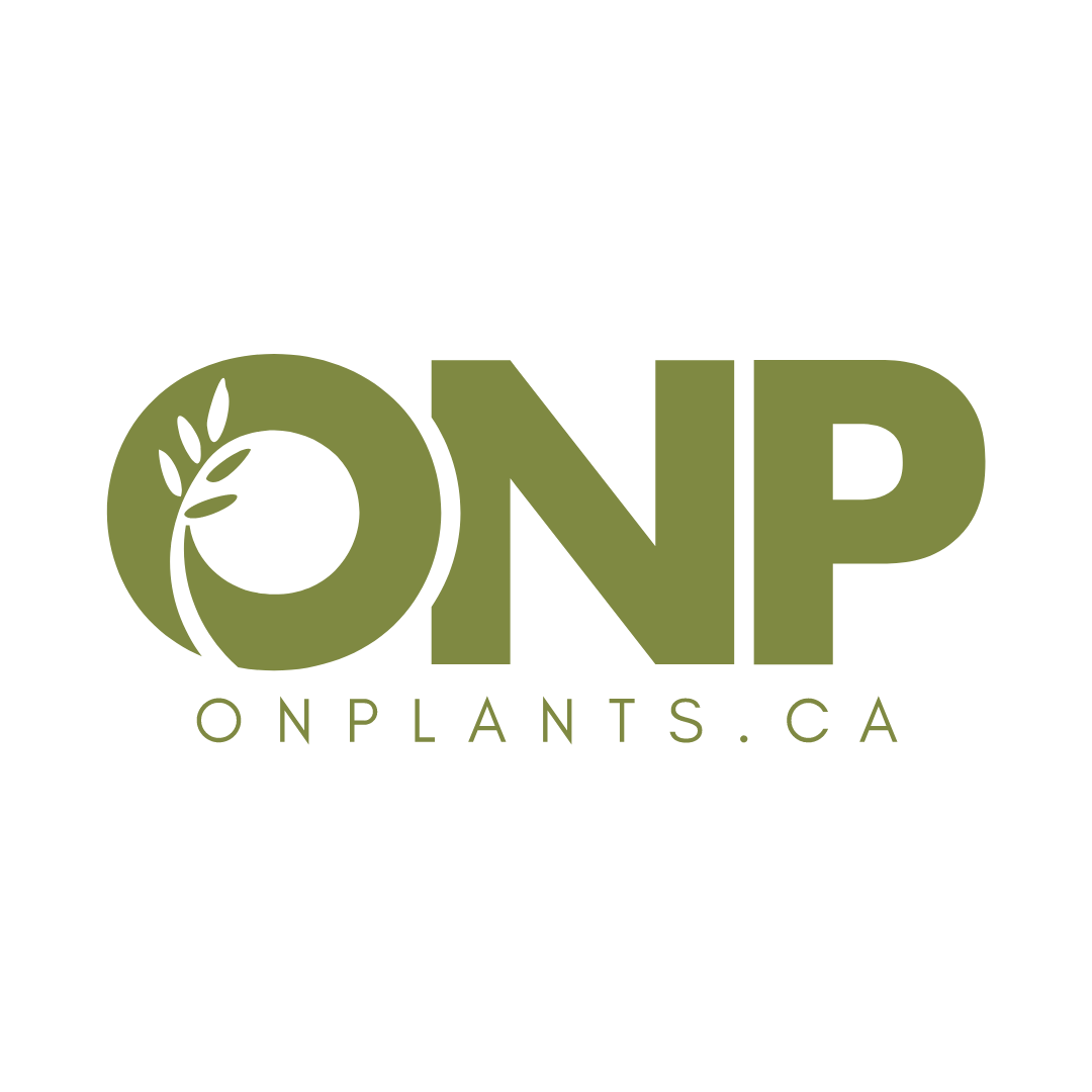Ontario Native Plants